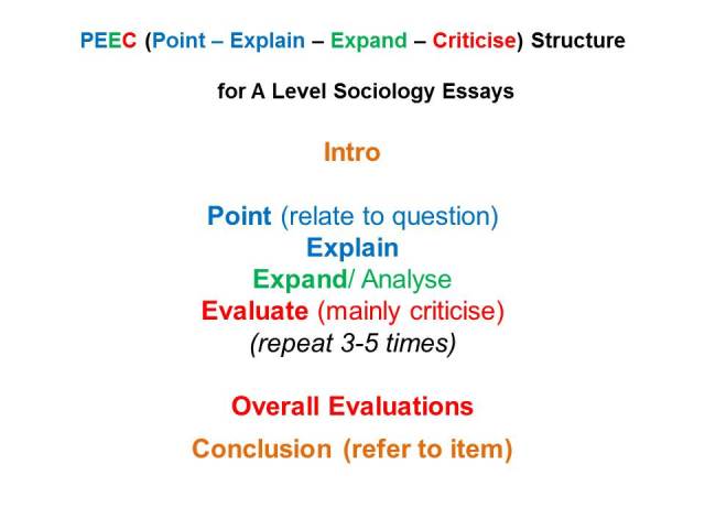 how to write a sociology essay at university