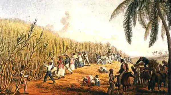 historic drawing of slavery in colonies