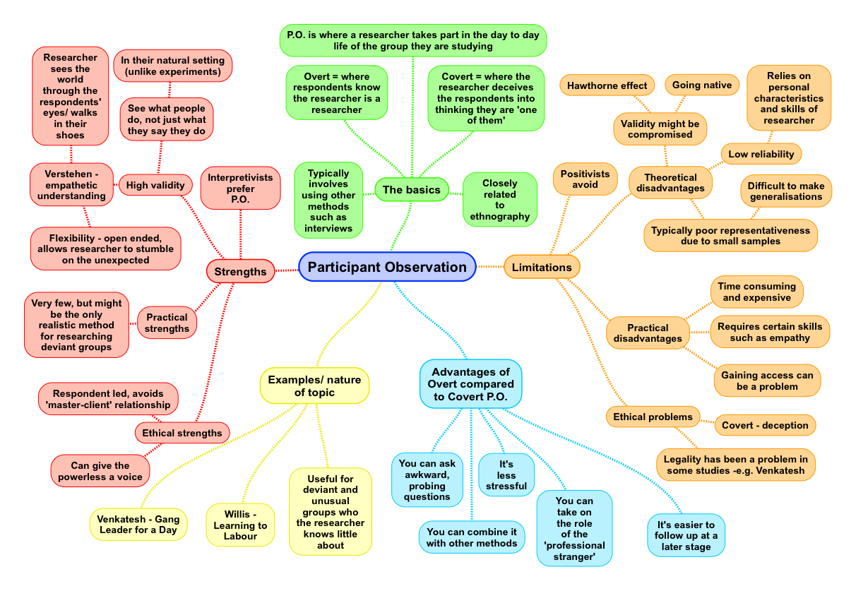 naturalistic observation essay example