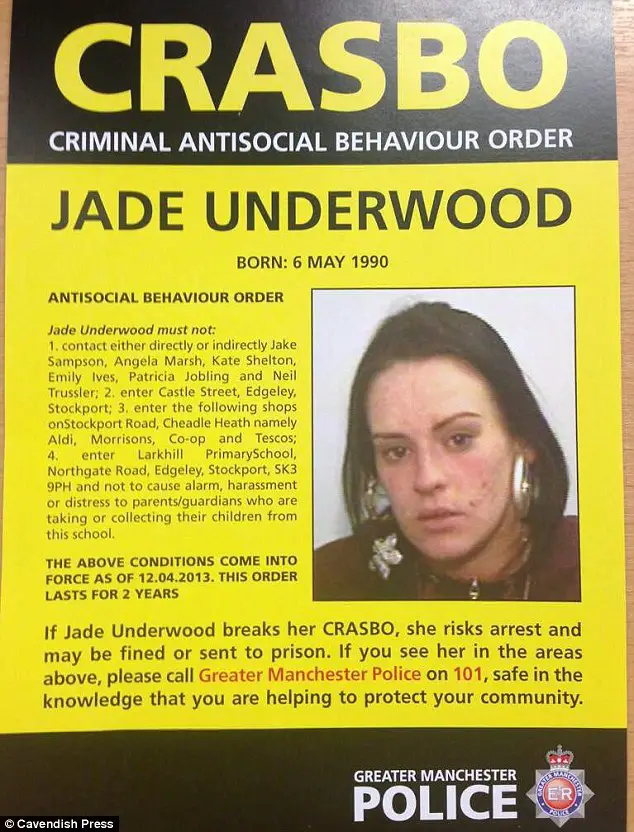 Essay about asbo 05 image