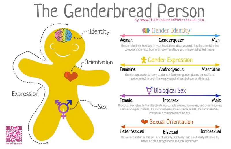 an-introduction-to-sex-gender-and-gender-identity-revisesociology